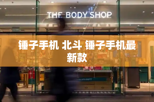 锤子手机 北斗 锤子手机最新款-第1张图片-星选测评