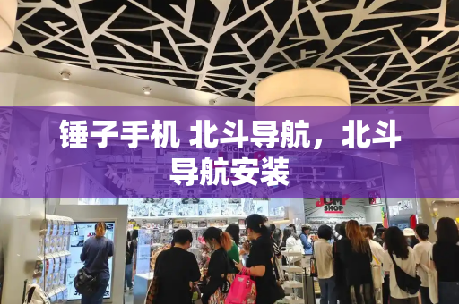 锤子手机 北斗导航，北斗导航安装