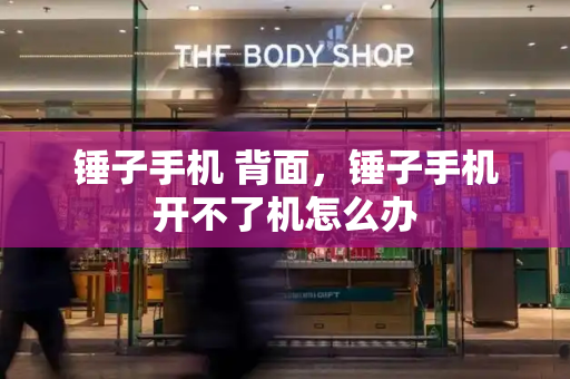 锤子手机 背面，锤子手机开不了机怎么办
