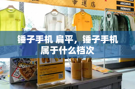 锤子手机 扁平，锤子手机属于什么档次-第1张图片-星选测评