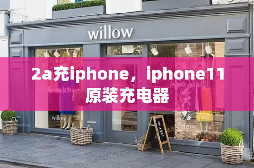 2a充iphone，iphone11原装充电器-第1张图片-星选测评