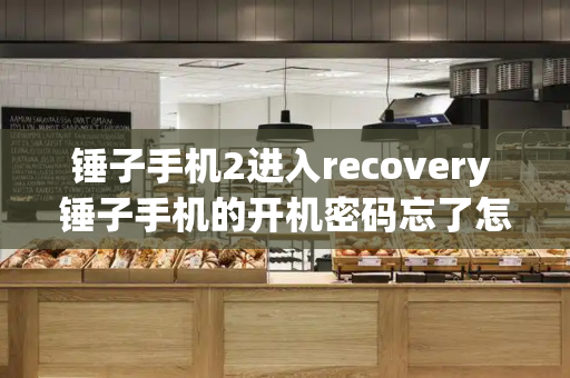 锤子手机2进入recovery 锤子手机的开机密码忘了怎么办-第1张图片-星选测评