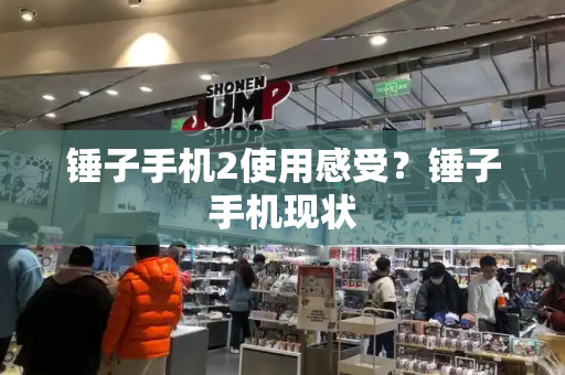 锤子手机2使用感受？锤子手机现状-第1张图片-星选测评