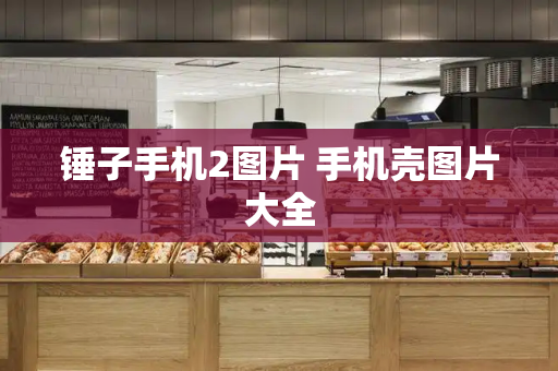 锤子手机2图片 手机壳图片大全-第1张图片-星选测评
