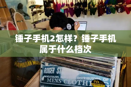锤子手机2怎样？锤子手机属于什么档次-第1张图片-星选测评