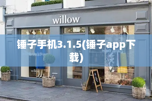 锤子手机3.1.5(锤子app下载)-第1张图片-星选测评