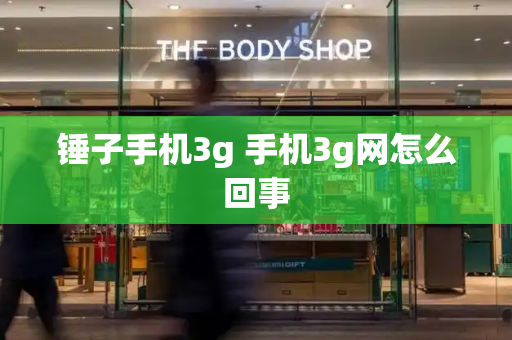 锤子手机3g 手机3g网怎么回事-第1张图片-星选测评