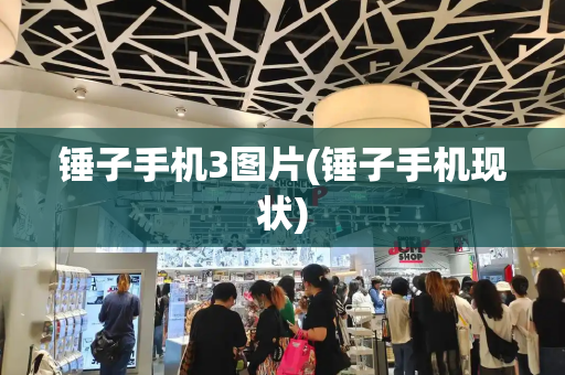 锤子手机3图片(锤子手机现状)