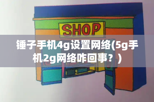 锤子手机4g设置网络(5g手机2g网络咋回事？)-第1张图片-星选测评