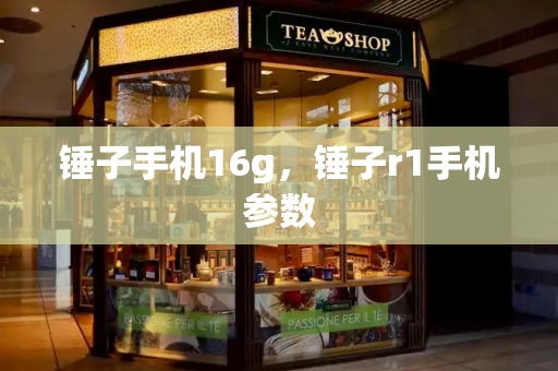 锤子手机16g，锤子r1手机参数-第1张图片-星选测评