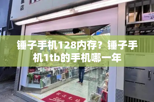 锤子手机128内存？锤子手机1tb的手机哪一年-第1张图片-星选测评
