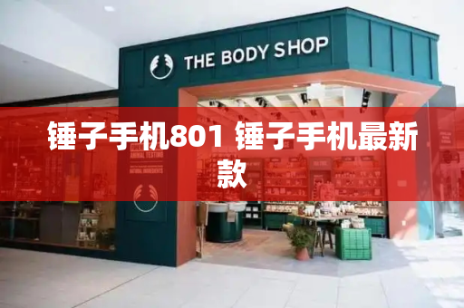 锤子手机801 锤子手机最新款-第1张图片-星选测评