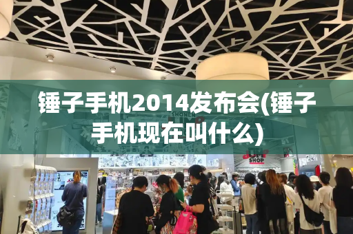 锤子手机2014发布会(锤子手机现在叫什么)-第1张图片-星选测评