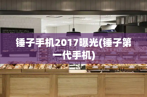 锤子手机2017曝光(锤子第一代手机)-第1张图片-星选测评