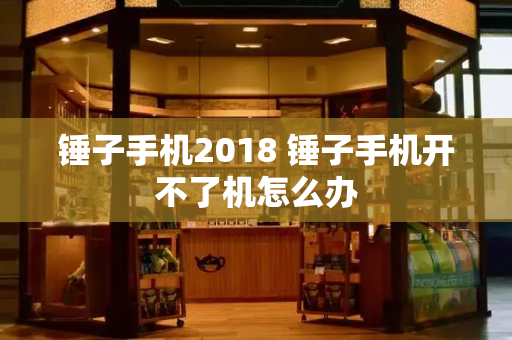 锤子手机2018 锤子手机开不了机怎么办