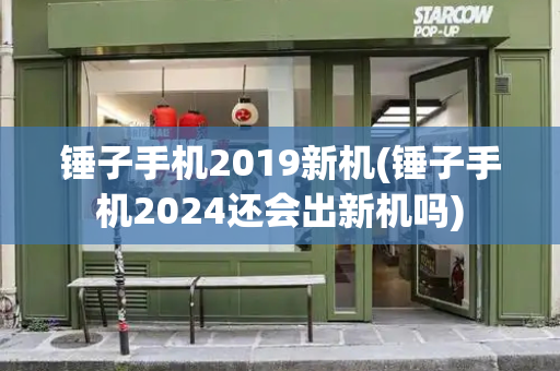 锤子手机2019新机(锤子手机2024还会出新机吗)-第1张图片-星选测评
