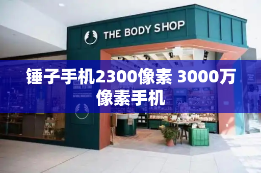 锤子手机2300像素 3000万像素手机-第1张图片-星选测评