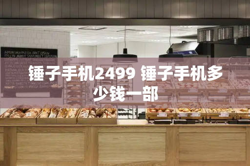 锤子手机2499 锤子手机多少钱一部-第1张图片-星选测评