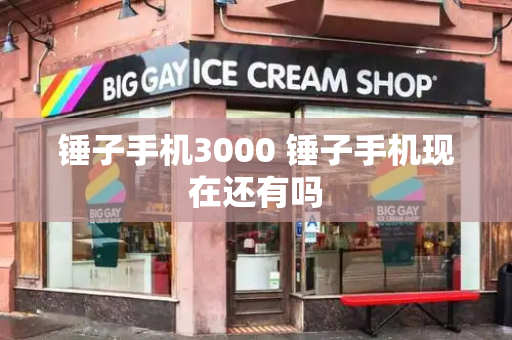 锤子手机3000 锤子手机现在还有吗