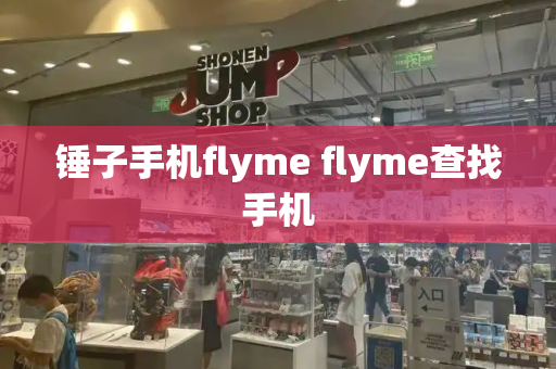 锤子手机flyme flyme查找手机