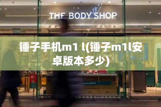 锤子手机m1 l(锤子m1l安卓版本多少)-第1张图片-星选测评