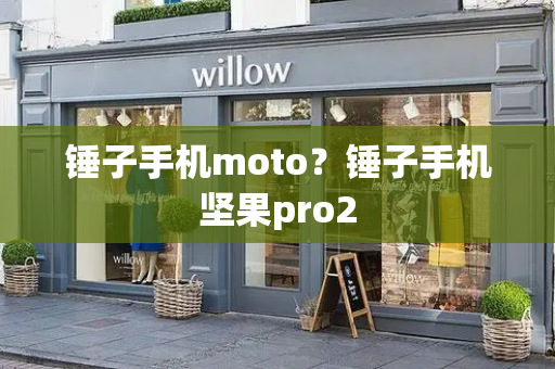 锤子手机moto？锤子手机坚果pro2-第1张图片-星选测评