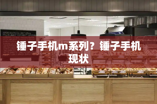 锤子手机m系列？锤子手机现状-第1张图片-星选测评