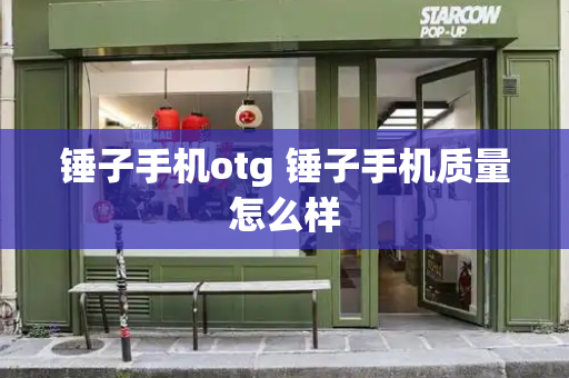 锤子手机otg 锤子手机质量怎么样-第1张图片-星选测评