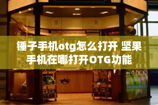 锤子手机otg怎么打开 坚果手机在哪打开OTG功能