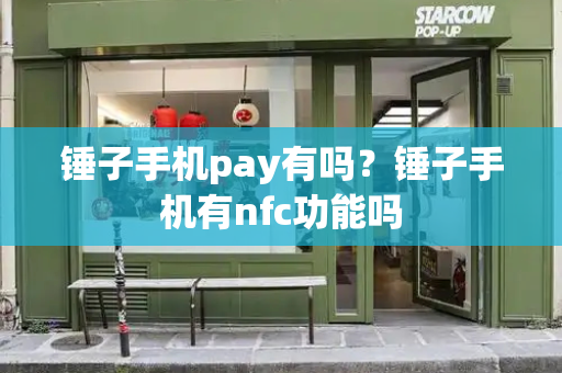 锤子手机pay有吗？锤子手机有nfc功能吗-第1张图片-星选测评
