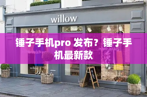 锤子手机pro 发布？锤子手机最新款