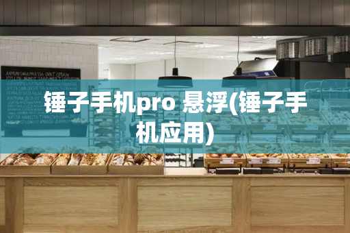 锤子手机pro 悬浮(锤子手机应用)