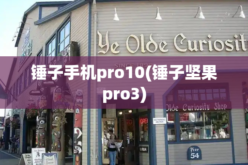 锤子手机pro10(锤子坚果pro3)