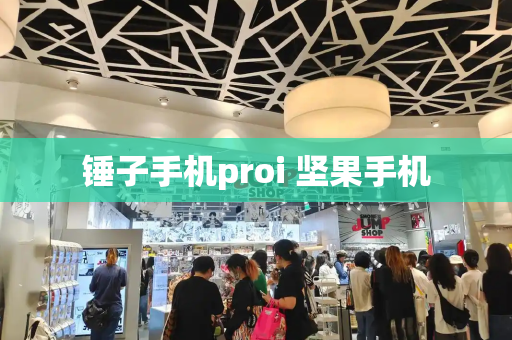 锤子手机proi 坚果手机
