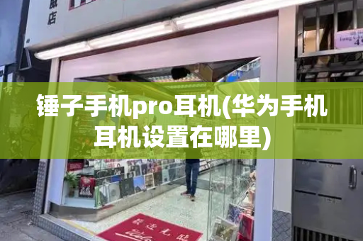锤子手机pro耳机(华为手机耳机设置在哪里)