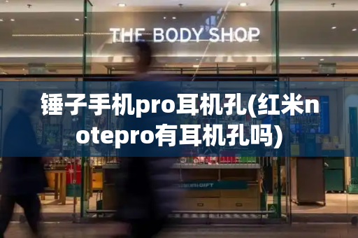 锤子手机pro耳机孔(红米notepro有耳机孔吗)-第1张图片-星选测评