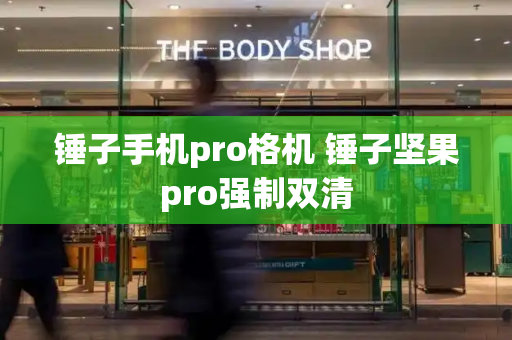 锤子手机pro格机 锤子坚果pro强制双清-第1张图片-星选测评