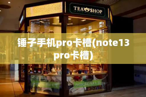 锤子手机pro卡槽(note13pro卡槽)-第1张图片-星选测评