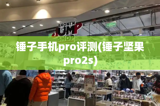 锤子手机pro评测(锤子坚果pro2s)