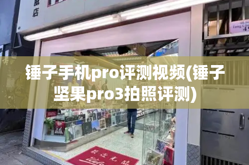 锤子手机pro评测视频(锤子坚果pro3拍照评测)