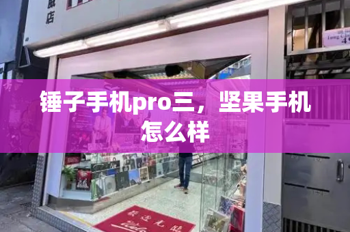 锤子手机pro三，坚果手机怎么样
