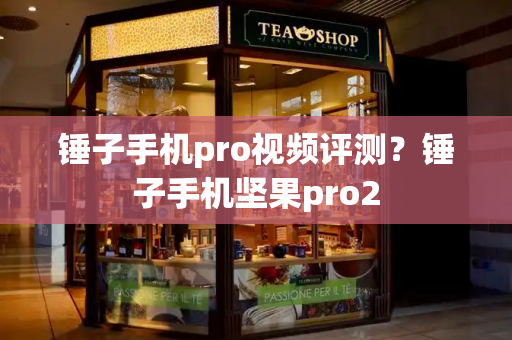 锤子手机pro视频评测？锤子手机坚果pro2-第1张图片-星选测评
