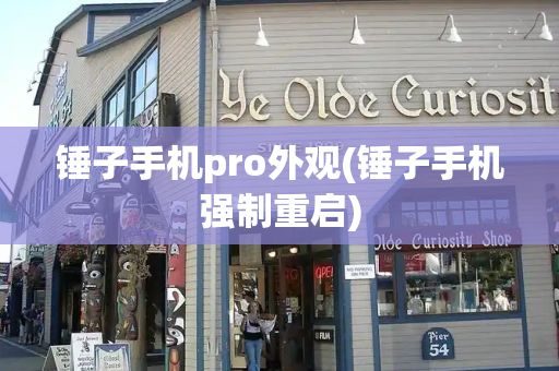 锤子手机pro外观(锤子手机强制重启)-第1张图片-星选测评