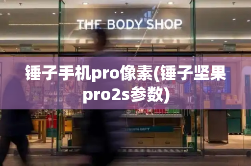 锤子手机pro像素(锤子坚果pro2s参数)-第1张图片-星选测评