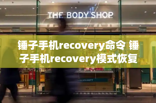 锤子手机recovery命令 锤子手机recovery模式恢复出厂设置-第1张图片-星选测评