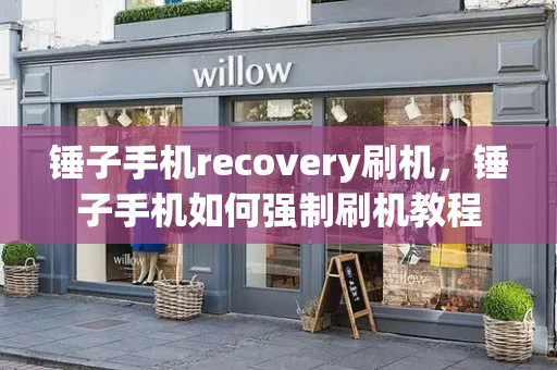锤子手机recovery刷机，锤子手机如何强制刷机教程-第1张图片-星选测评