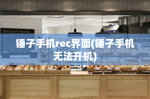 锤子手机rec界面(锤子手机无法开机)-第1张图片-星选测评