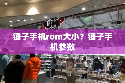 锤子手机rom大小？锤子手机参数-第1张图片-星选测评