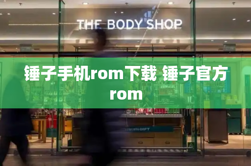 锤子手机rom下载 锤子官方rom-第1张图片-星选测评