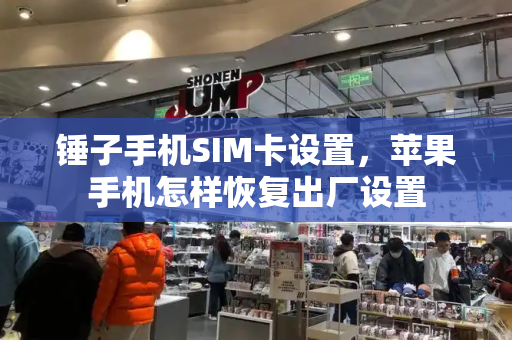 锤子手机SIM卡设置，苹果手机怎样恢复出厂设置-第1张图片-星选测评
